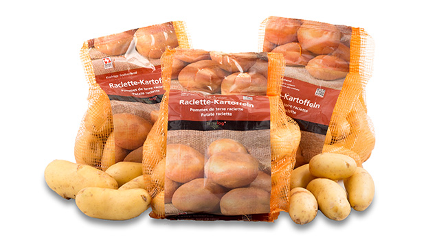 Carrybag braun Carrybag braun