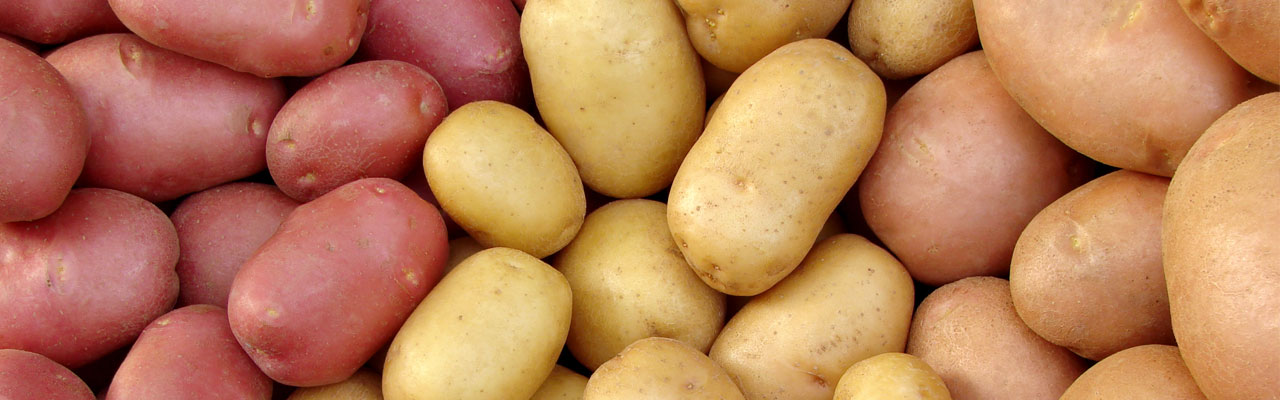 Headerbild Geiser agro.com